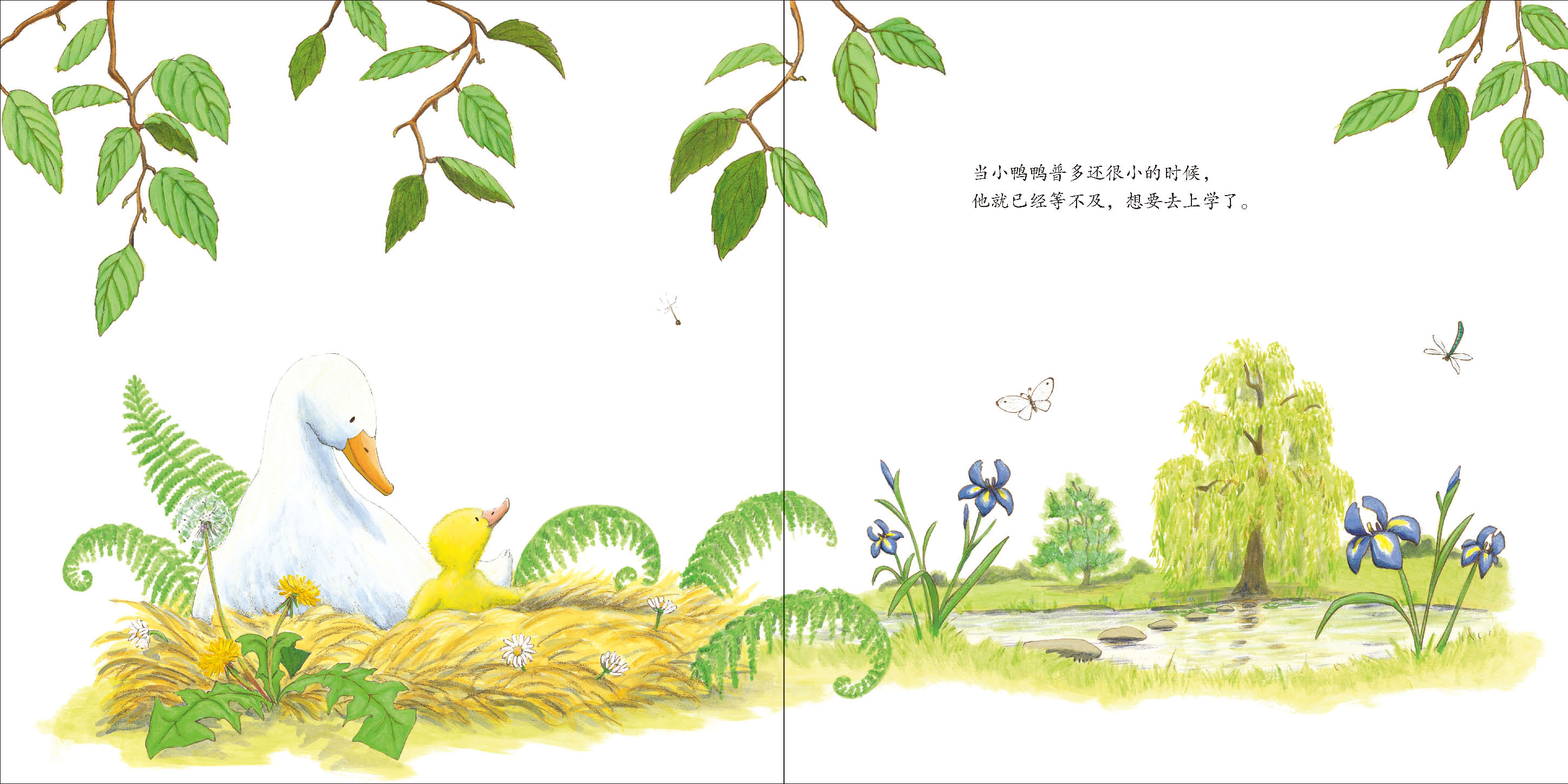 小鸭鸭上学去 (05),绘本,绘本故事,绘本阅读,故事书,童书,图画书,课外阅读
